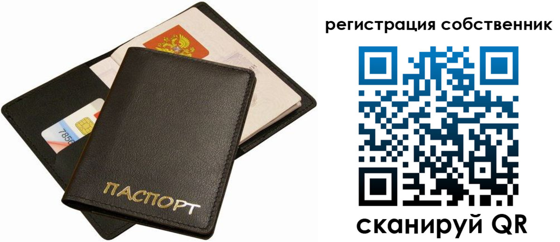 прописка паспорт в Ельне