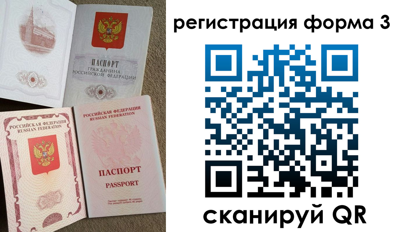 прописка в Ельне